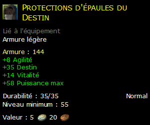 Protections d'épaules du Destin