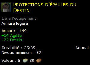 Protections d'épaules du Destin