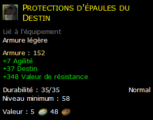 Protections d'épaules du Destin