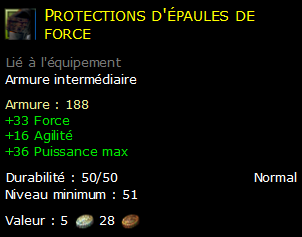 Protections d'épaules de force