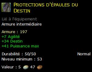 Protections d'épaules du Destin