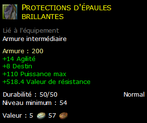 Protections d'épaules brillantes