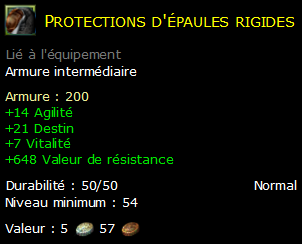 Protections d'épaules rigides