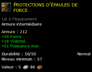 Protections d'épaules de force