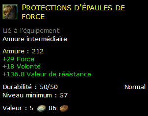 Protections d'épaules de force