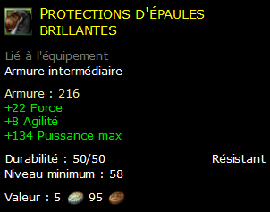 Protections d'épaules brillantes