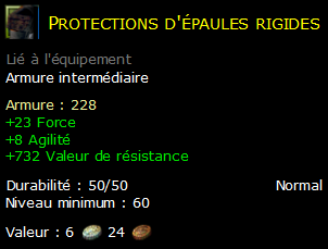 Protections d'épaules rigides