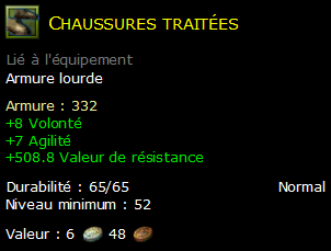 Chaussures traitées