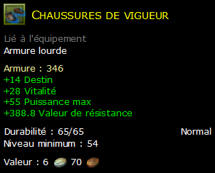 Chaussures de vigueur