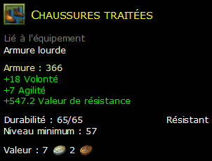 Chaussures traitées