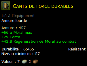 Gants de force durables