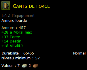 Gants de force