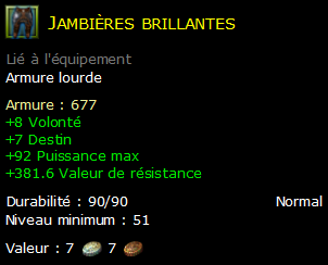 Jambières brillantes