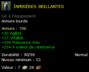 Jambières brillantes