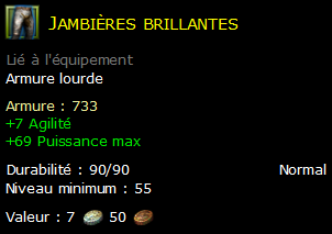 Jambières brillantes