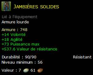 Jambières solides