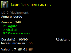 Jambières brillantes