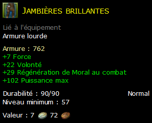 Jambières brillantes