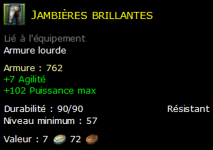 Jambières brillantes