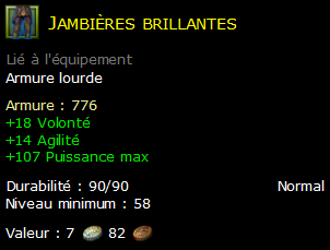 Jambières brillantes