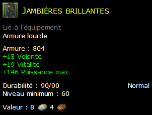 Jambières brillantes