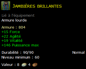 Jambières brillantes