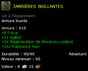 Jambières brillantes