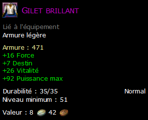 Gilet brillant