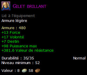 Gilet brillant