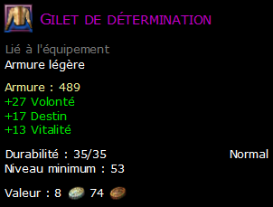 Gilet de détermination