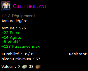 Gilet brillant