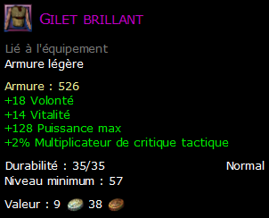 Gilet brillant