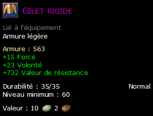 Gilet rigide