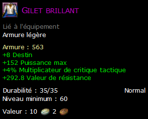 Gilet brillant