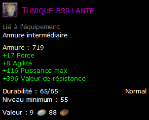 Tunique brillante