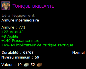 Tunique brillante