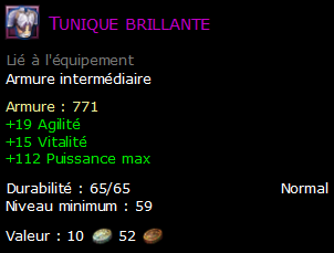 Tunique brillante