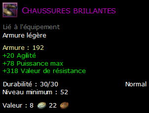 Chaussures brillantes