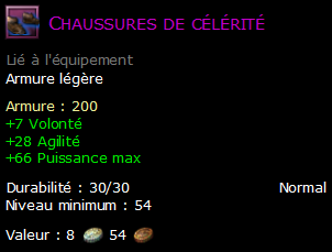 Chaussures de célérité