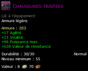 Chaussures traitées