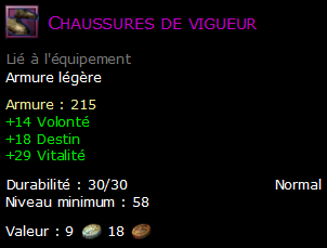 Chaussures de vigueur