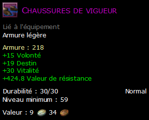 Chaussures de vigueur