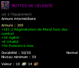 Bottes de célérité