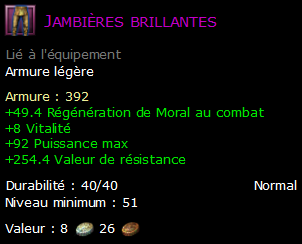 Jambières brillantes