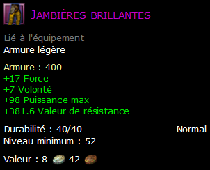 Jambières brillantes