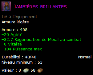 Jambières brillantes