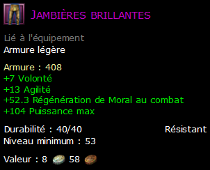 Jambières brillantes