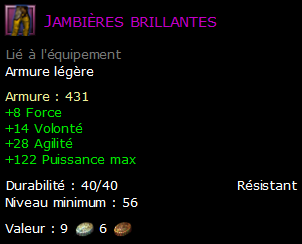 Jambières brillantes