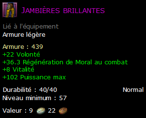 Jambières brillantes