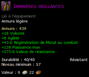 Jambières brillantes